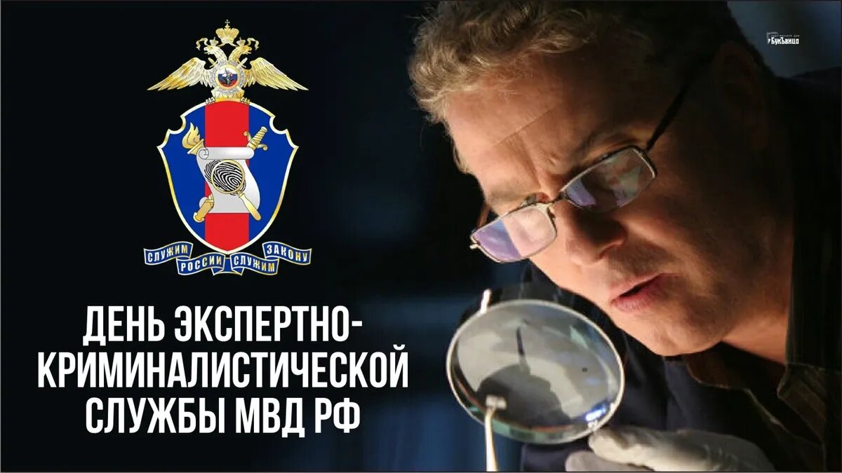 день криминалиста